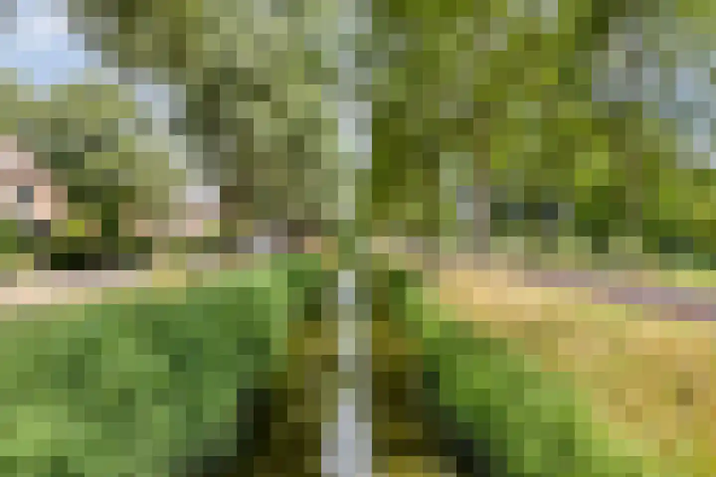 Waterlandse Morgen 15 Purmerend thumbnail 39