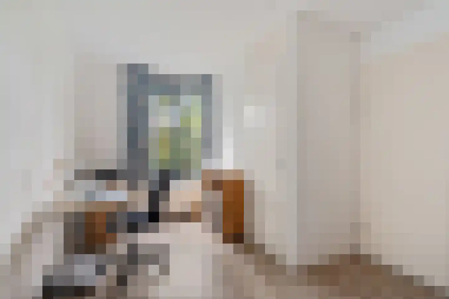 Waterlandsingel 5 Den Haag thumbnail 21