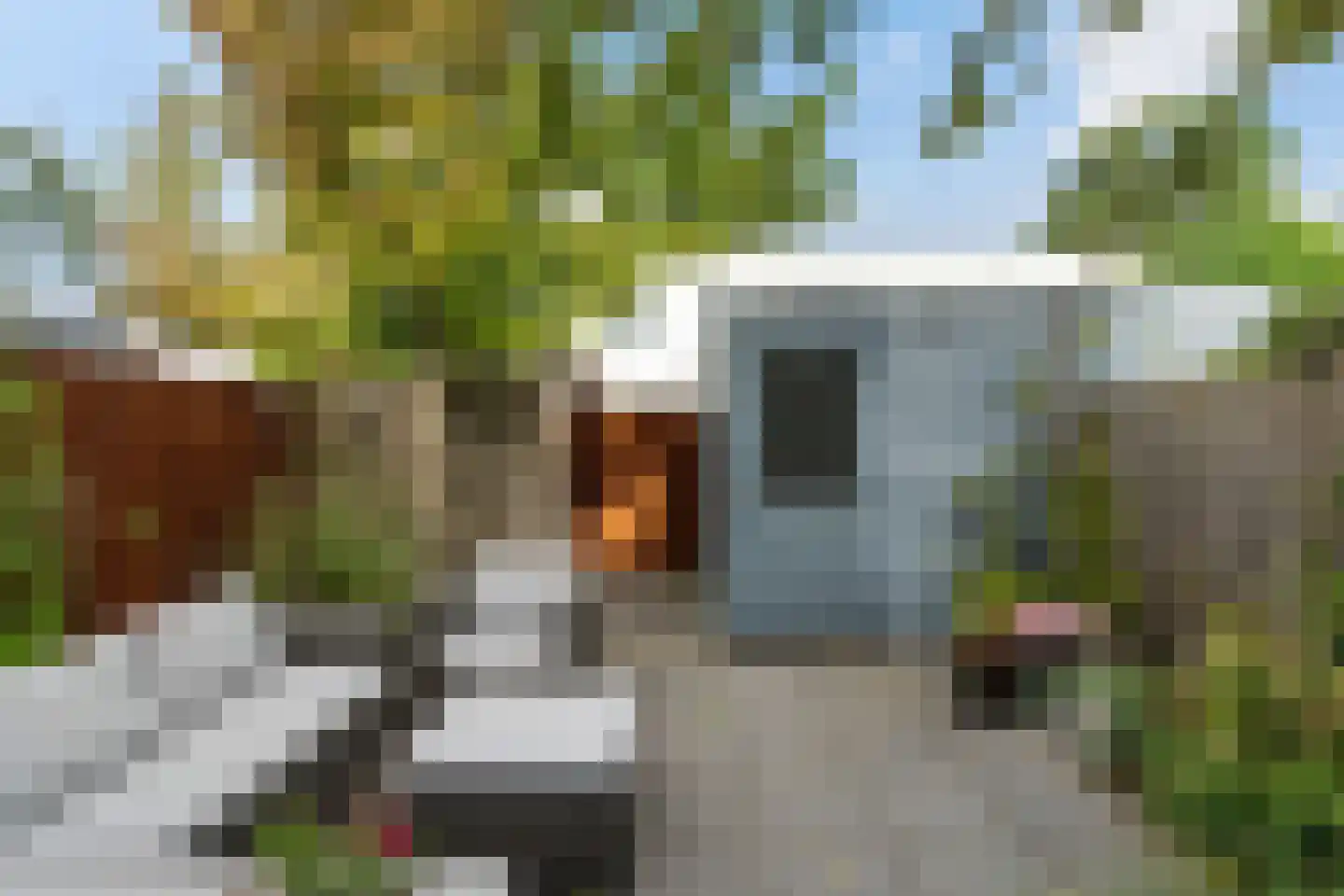 Waterlandsingel 5 Den Haag thumbnail 31