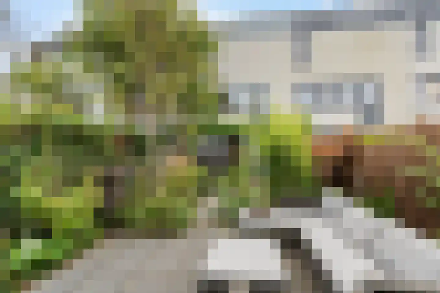 Waterlandsingel 5 Den Haag thumbnail 32
