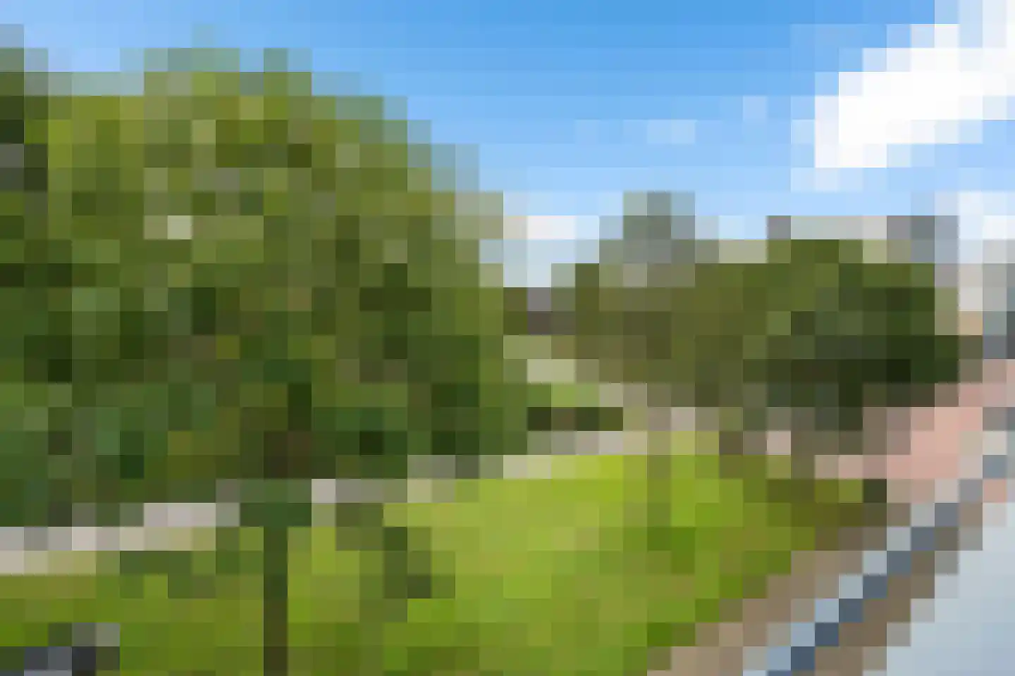 Waterlandsingel 5 Den Haag thumbnail 36