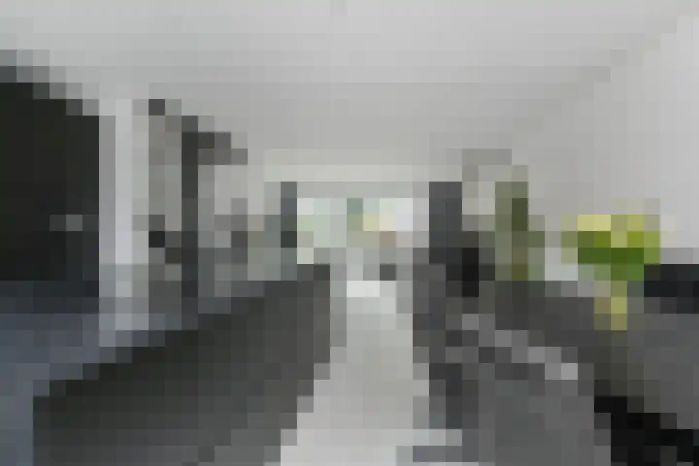 Waterlandsingel 69 Den Haag thumbnail 19