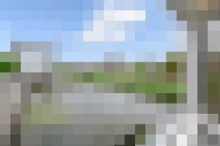 Waterlandsingel 84 Den Haag thumbnail 15