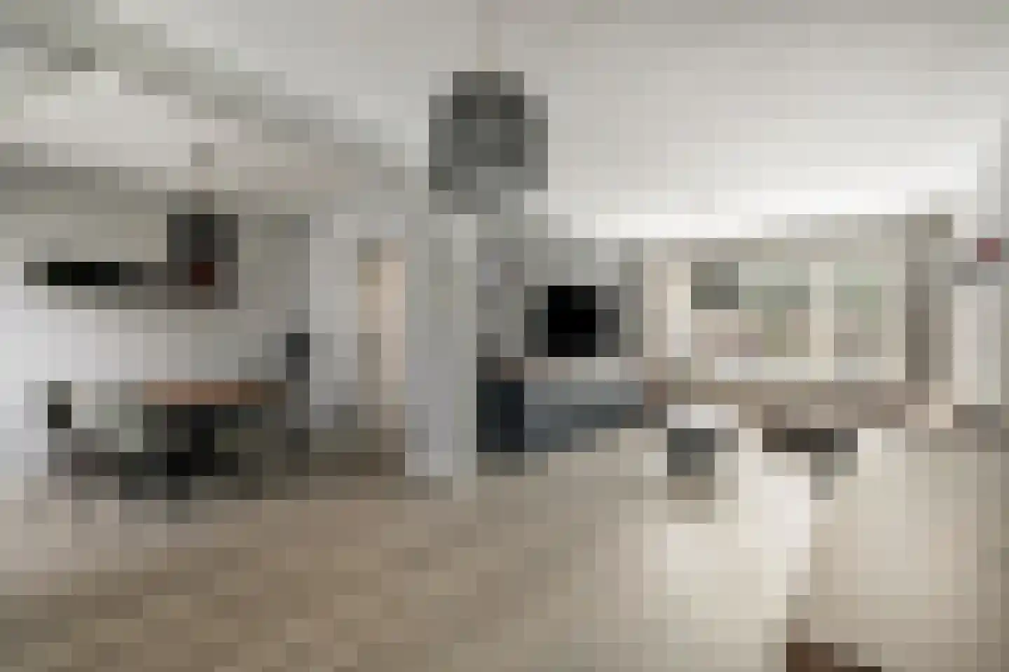 Waterlandsweg 10 Doornspijk thumbnail 13