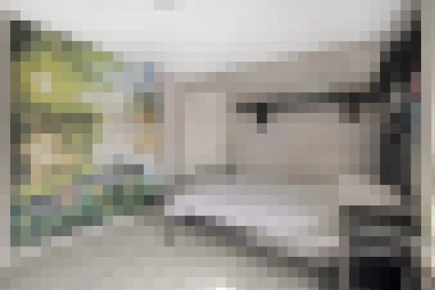 Waterlandsweg 10 Doornspijk thumbnail 32