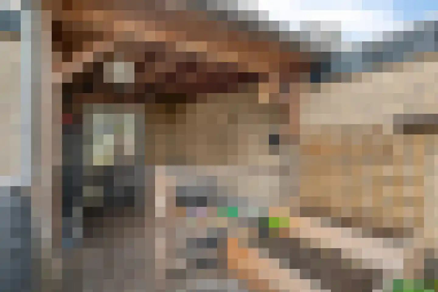 Waterlandsweg 10 Doornspijk thumbnail 38