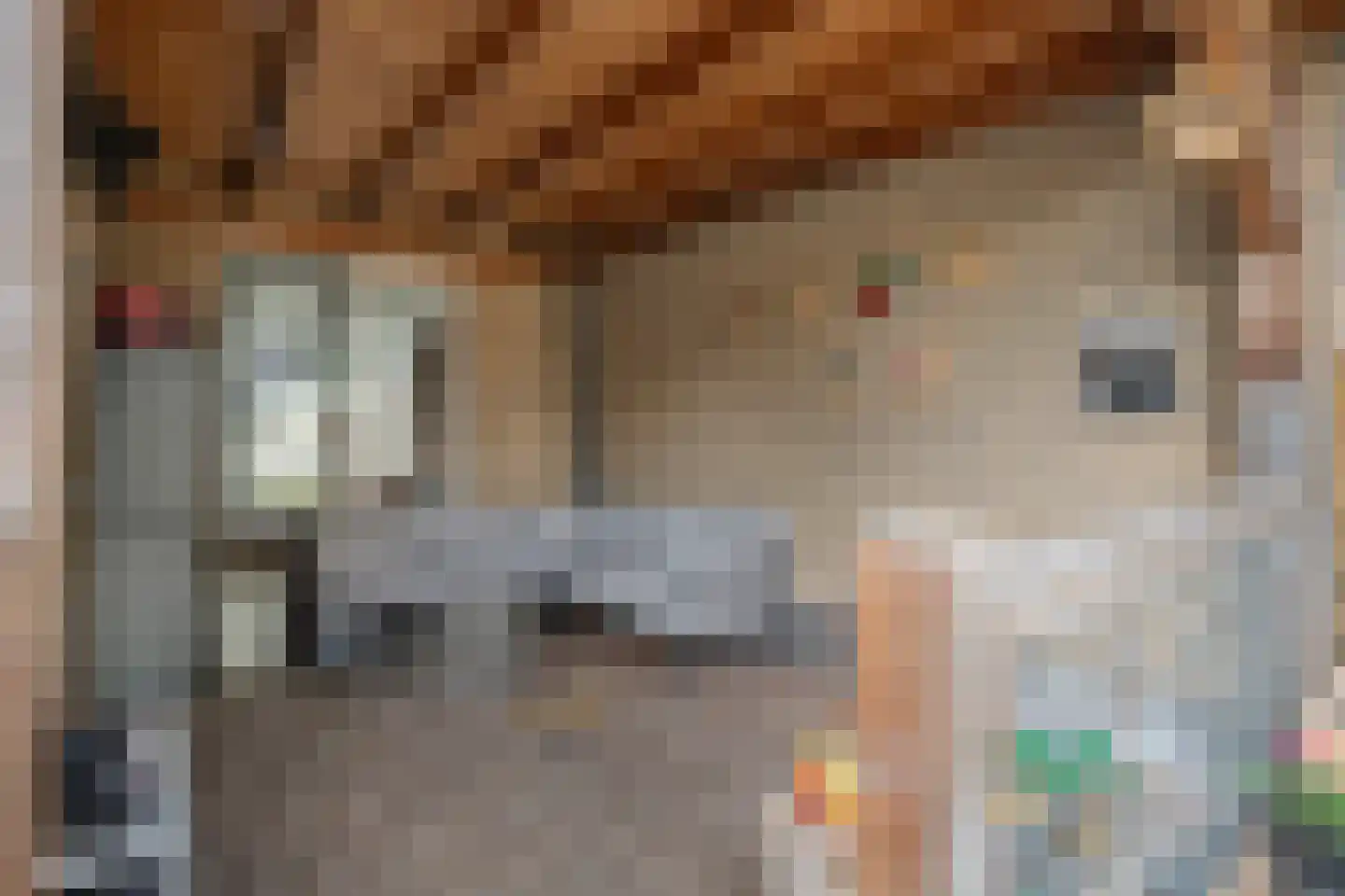Waterlandsweg 10 Doornspijk thumbnail 39