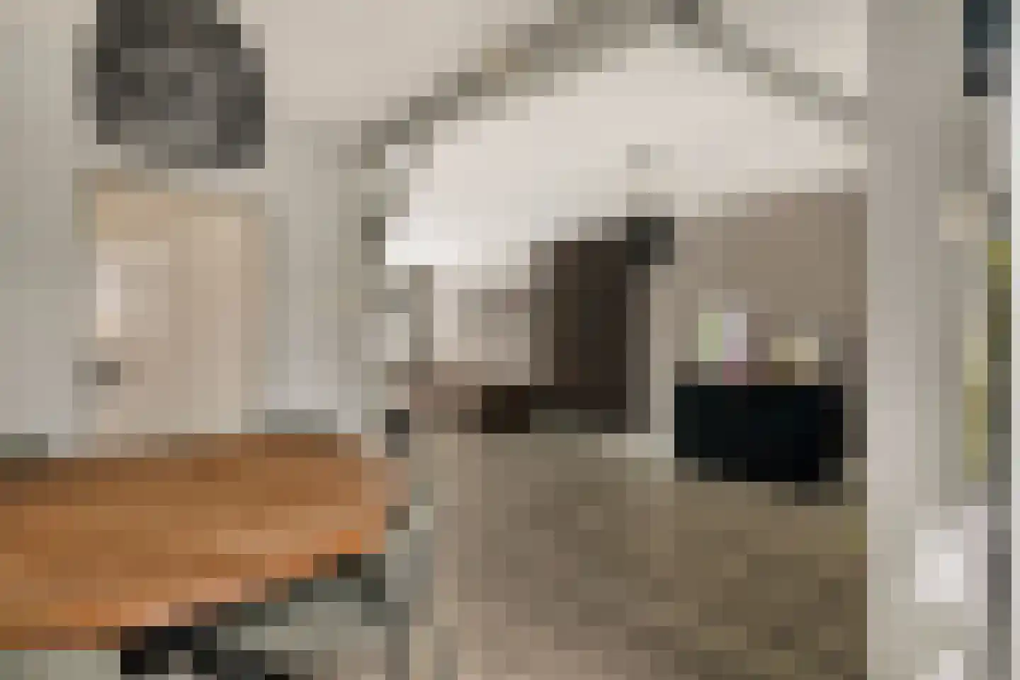Waterlandsweg 10 Doornspijk thumbnail 7