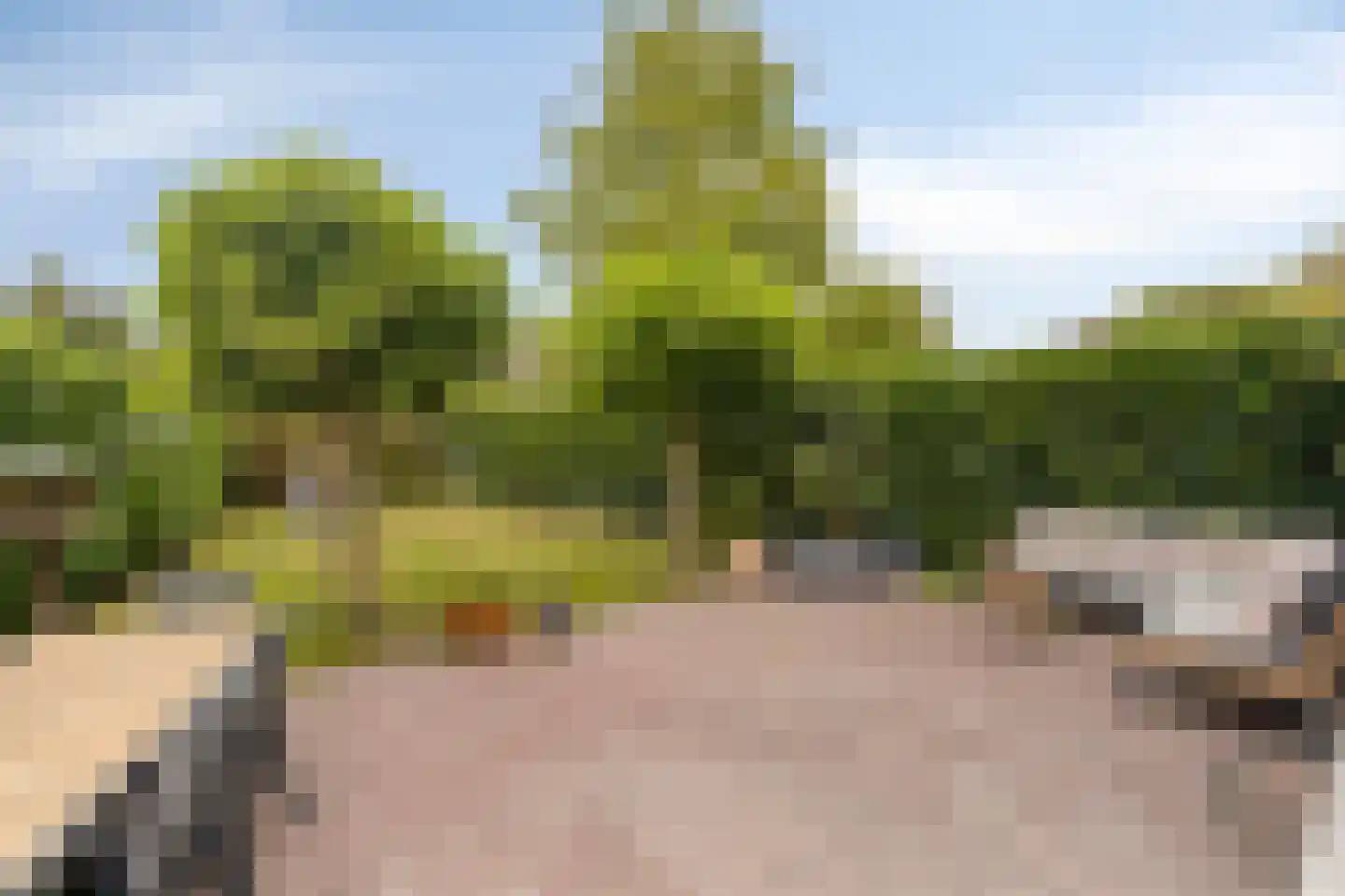 Waterlei 1 Apeldoorn thumbnail 15