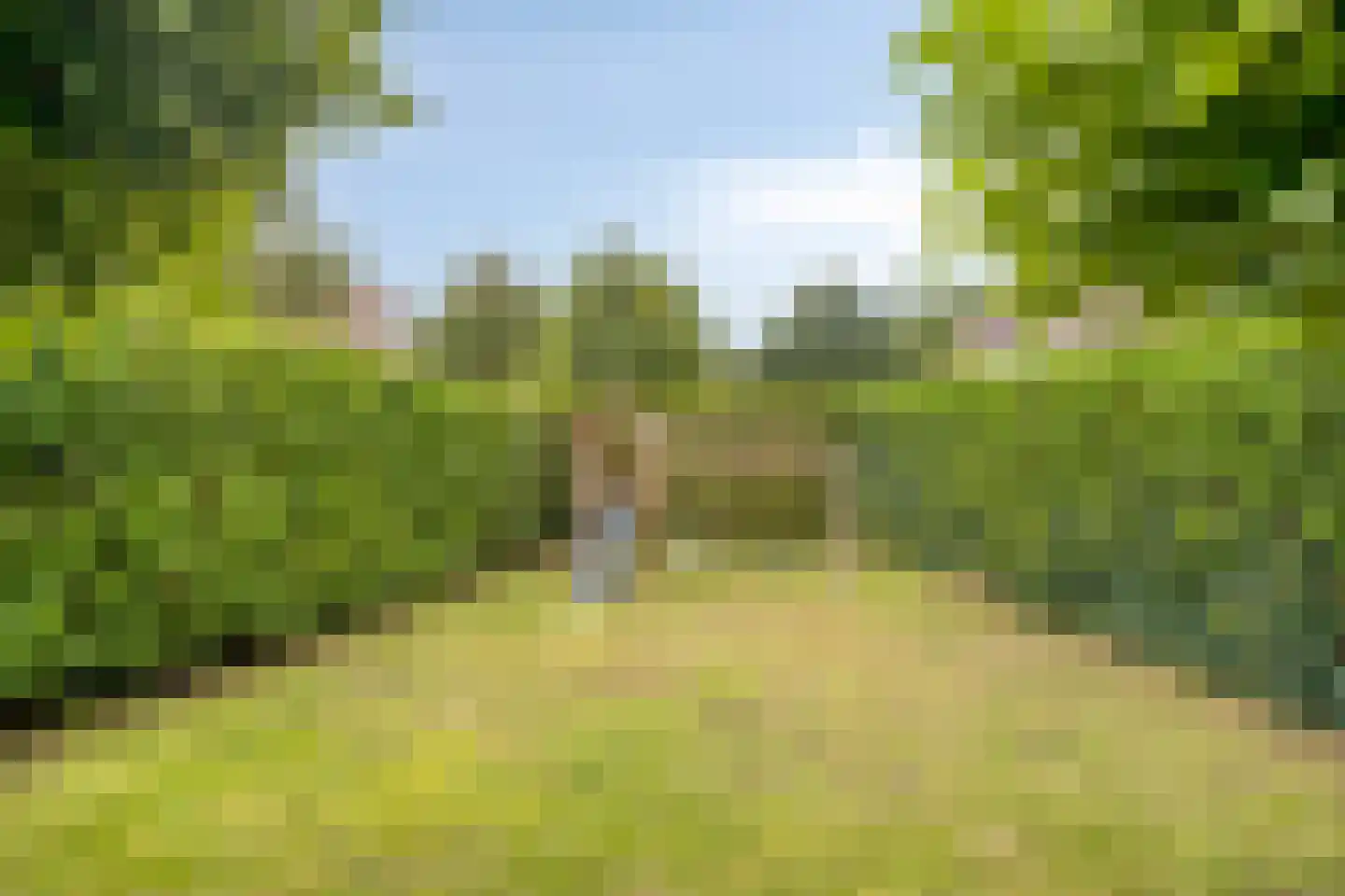 Waterlei 1 Apeldoorn thumbnail 16