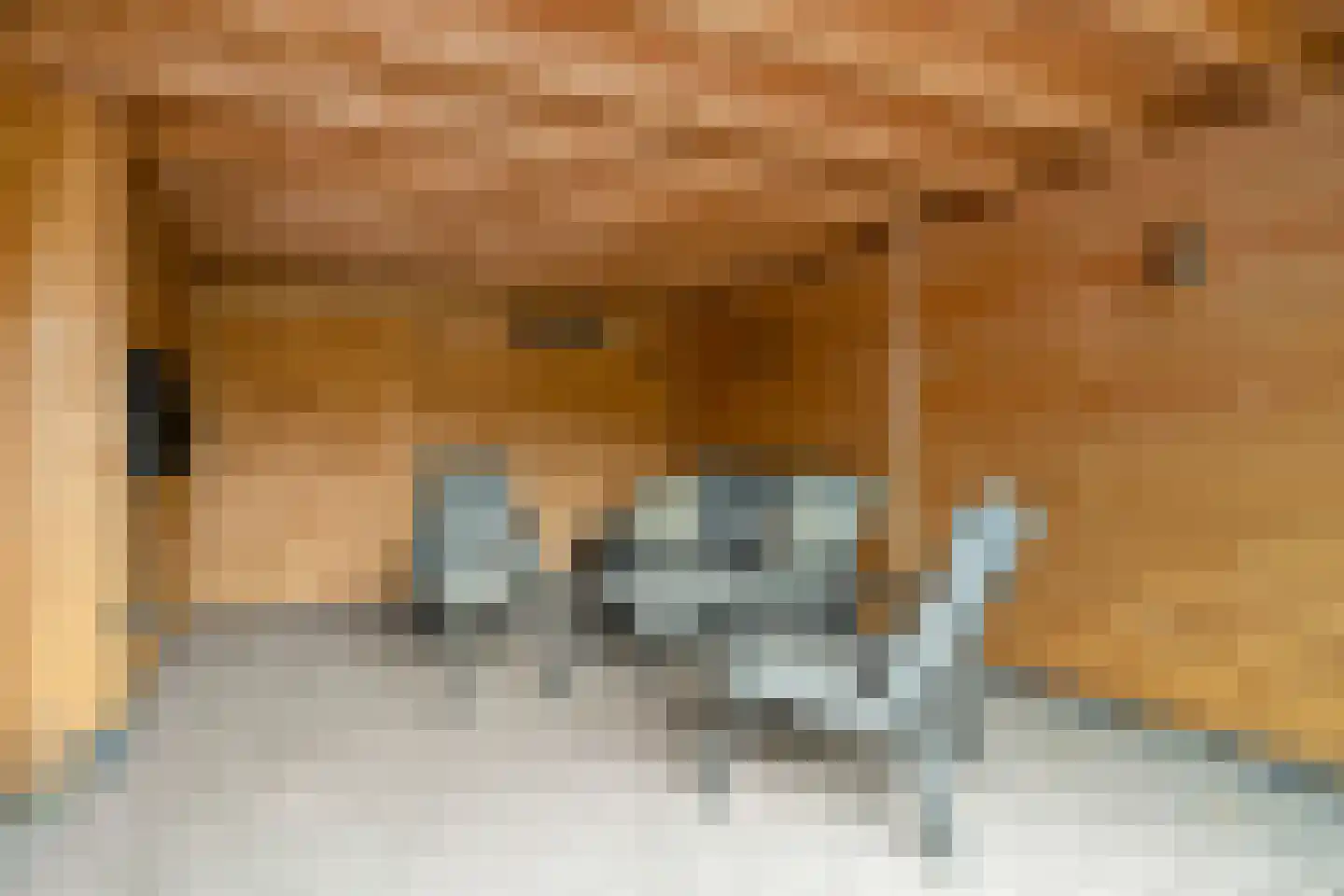 Waterlei 1 Apeldoorn thumbnail 20