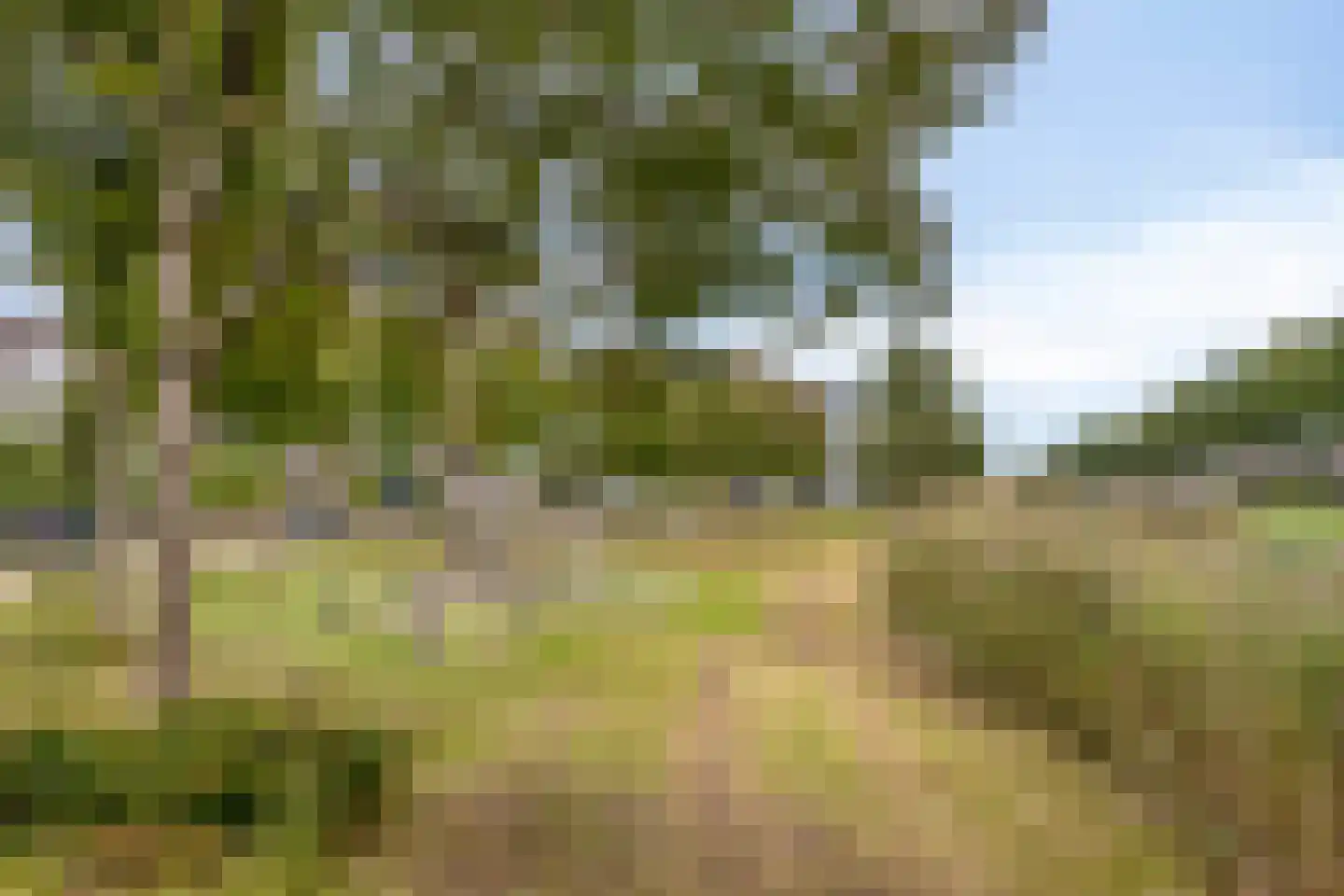 Waterlei 1 Apeldoorn thumbnail 40