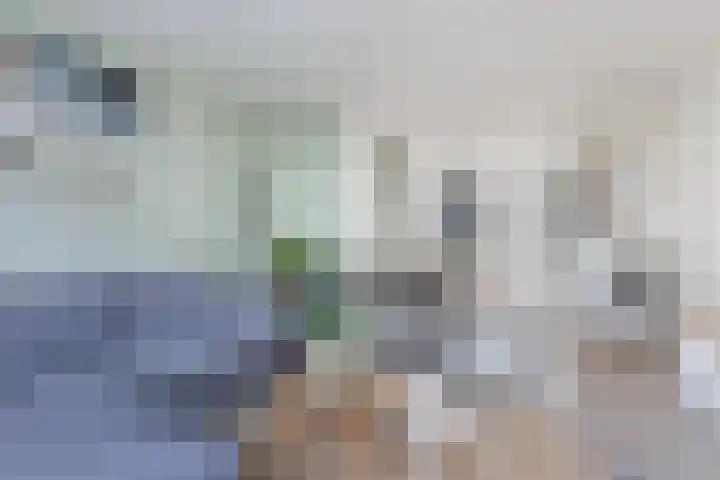 Waterlei 114 Apeldoorn thumbnail 14