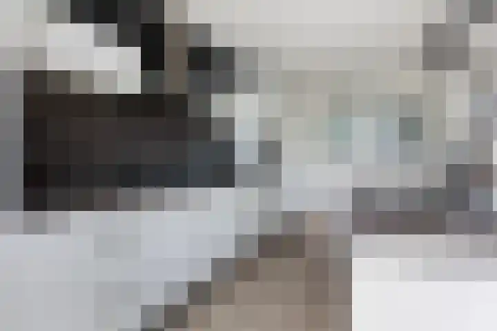 Waterlei 114 Apeldoorn thumbnail 22