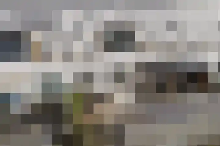 Waterlei 114 Apeldoorn thumbnail 28