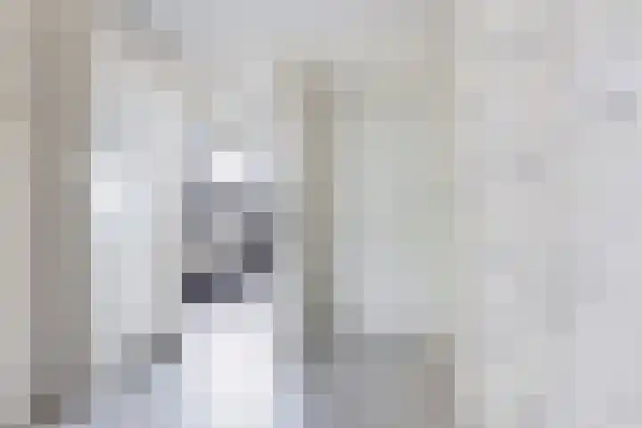 Waterlei 114 Apeldoorn thumbnail 32
