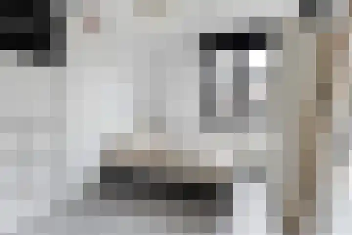 Waterlei 114 Apeldoorn thumbnail 34