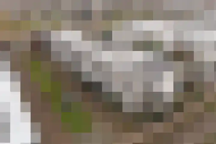Waterlei 114 Apeldoorn thumbnail 41