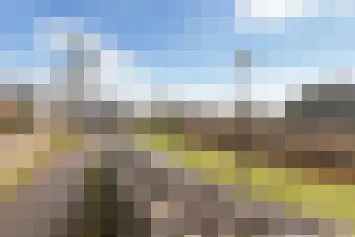 Waterlei 114 Apeldoorn thumbnail 43