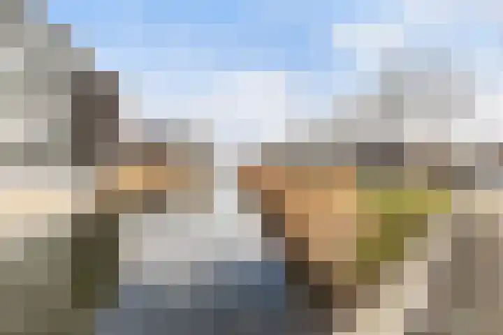 Waterlei 114 Apeldoorn thumbnail 44