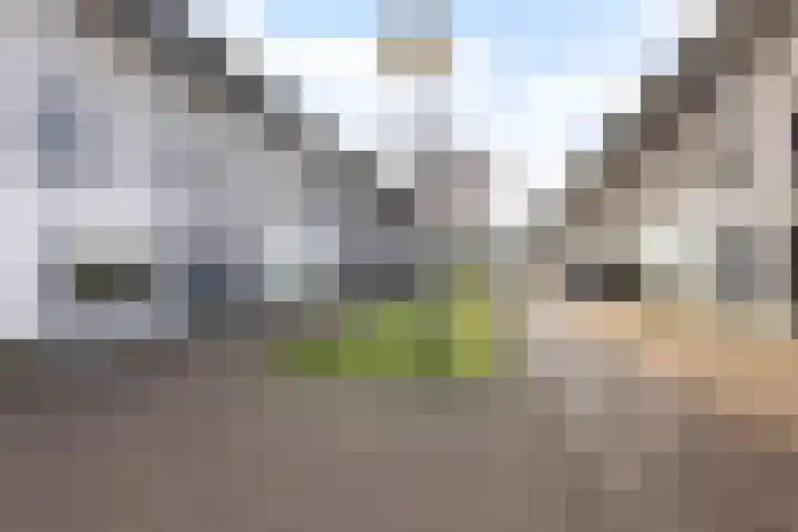 Waterlei 114 Apeldoorn thumbnail 8