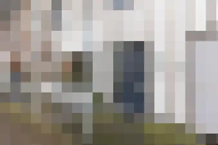 Waterlei 114 Apeldoorn thumbnail 9