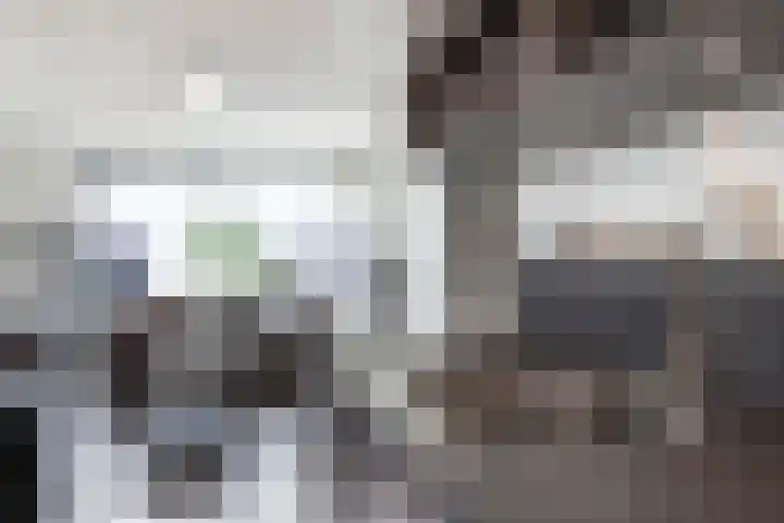 Waterlei 116 Apeldoorn thumbnail 10