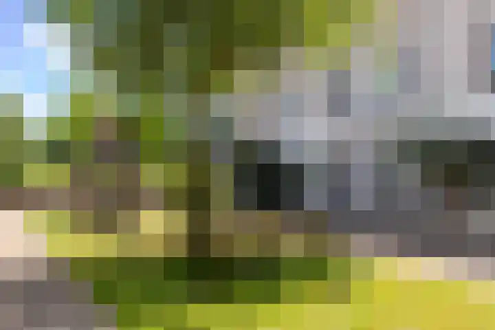 Waterlei 116 Apeldoorn thumbnail 26