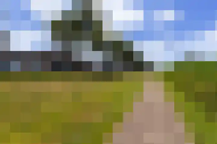Waterlei 116 Apeldoorn thumbnail 30