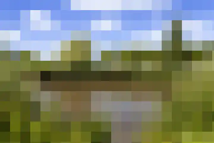 Waterlei 116 Apeldoorn thumbnail 31
