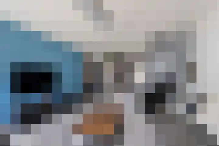 Waterlei 116 Apeldoorn thumbnail 7