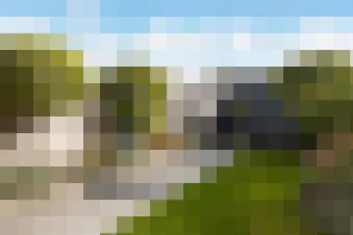 Waterlei 22 Apeldoorn thumbnail 24