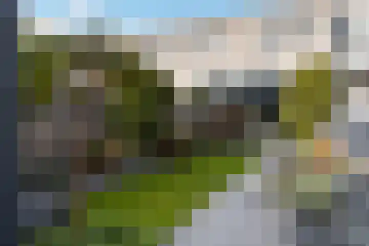 Waterlei 22 Apeldoorn thumbnail 25