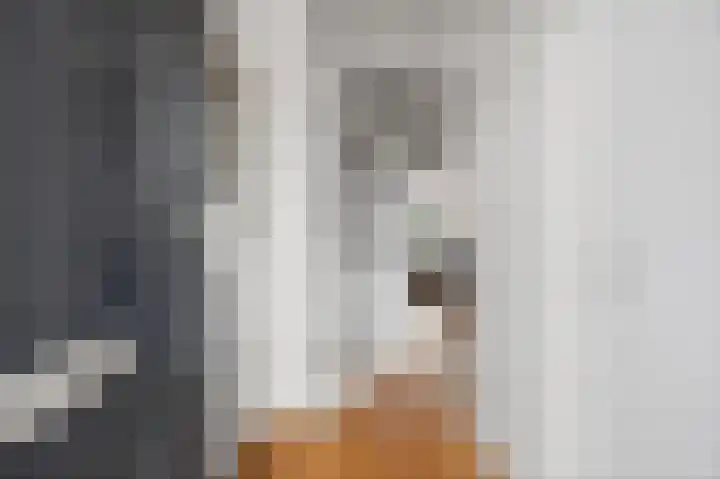 Waterlei 22 Apeldoorn thumbnail 4