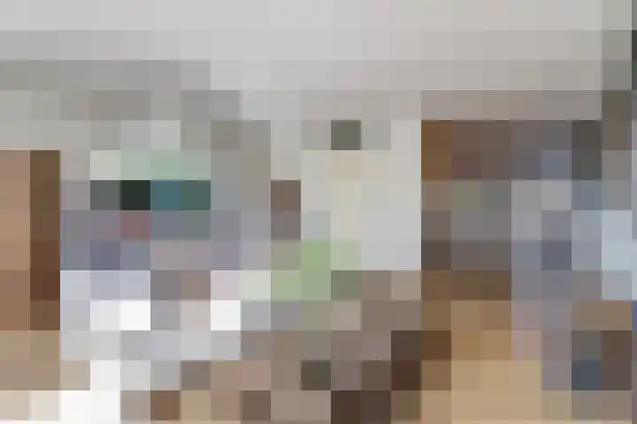 Waterlei 296 Apeldoorn thumbnail 12