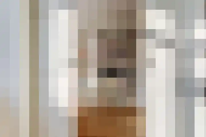 Waterlei 296 Apeldoorn thumbnail 18