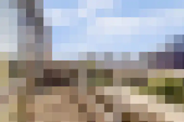 Waterlei 296 Apeldoorn thumbnail 20