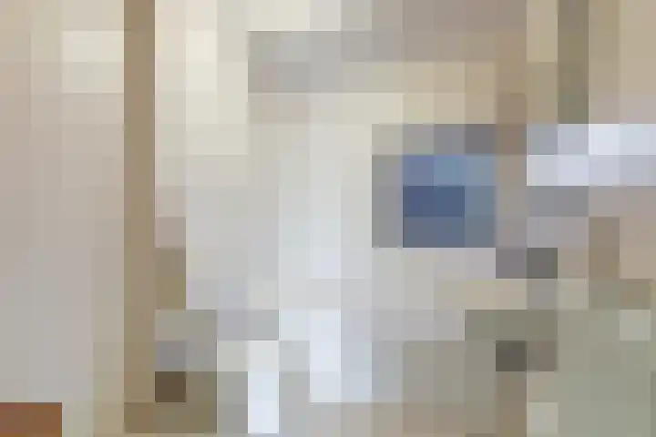 Waterlei 296 Apeldoorn thumbnail 22