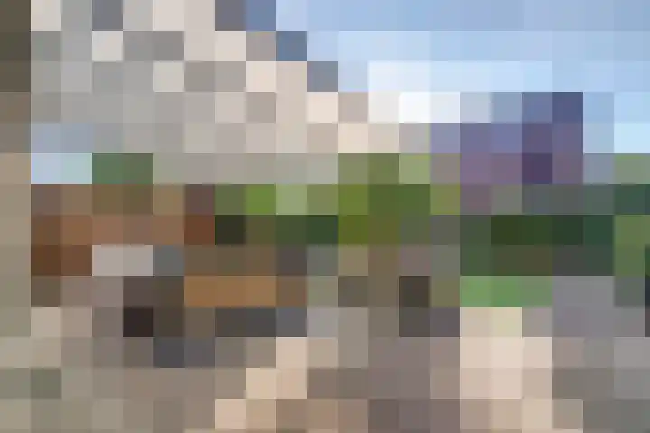 Waterlei 296 Apeldoorn thumbnail 23