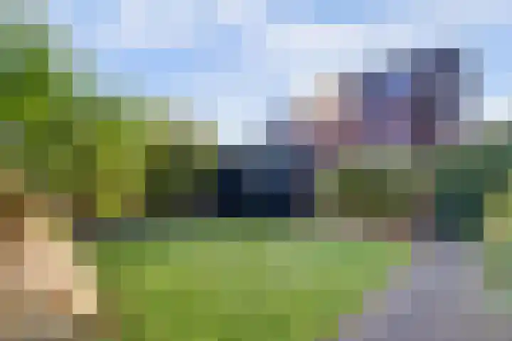 Waterlei 296 Apeldoorn thumbnail 24