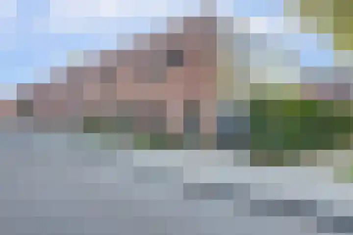 Waterlei 296 Apeldoorn thumbnail 4