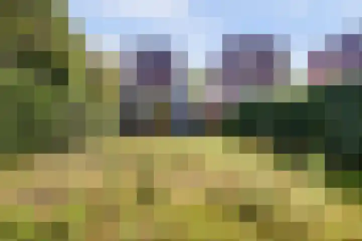 Waterlei 5 Apeldoorn thumbnail 35