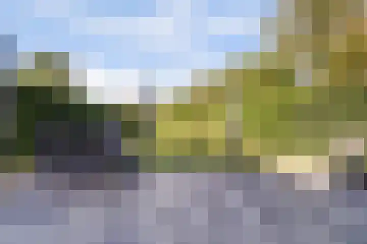 Waterlei 5 Apeldoorn thumbnail 38