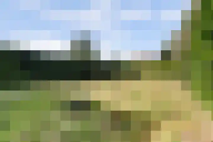 Waterlei 5 Apeldoorn thumbnail 39