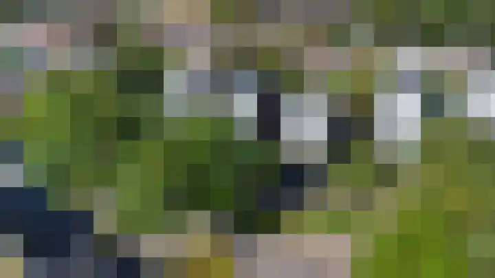 Waterlei 5 Apeldoorn thumbnail 42