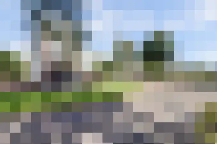 Waterlei 5 Apeldoorn thumbnail 46