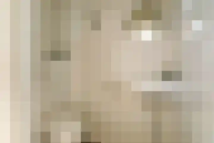 Waterlei 5 Apeldoorn thumbnail 6
