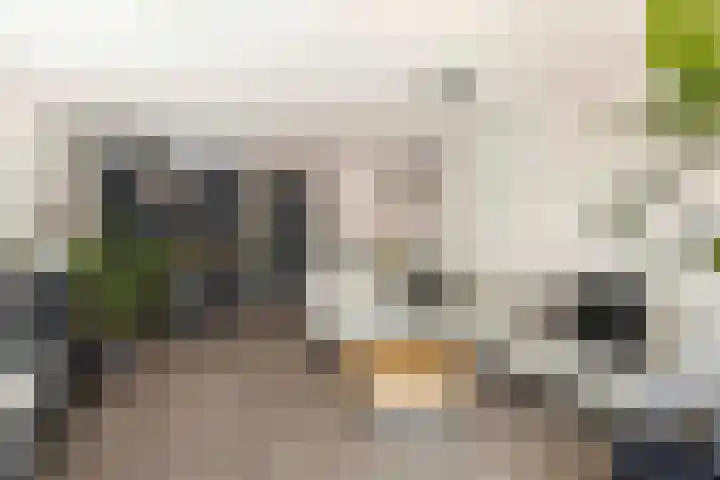 Waterlei 50 Apeldoorn thumbnail 5