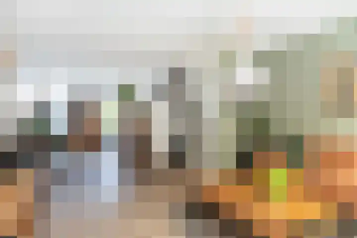 Waterlei 94 Apeldoorn thumbnail 10