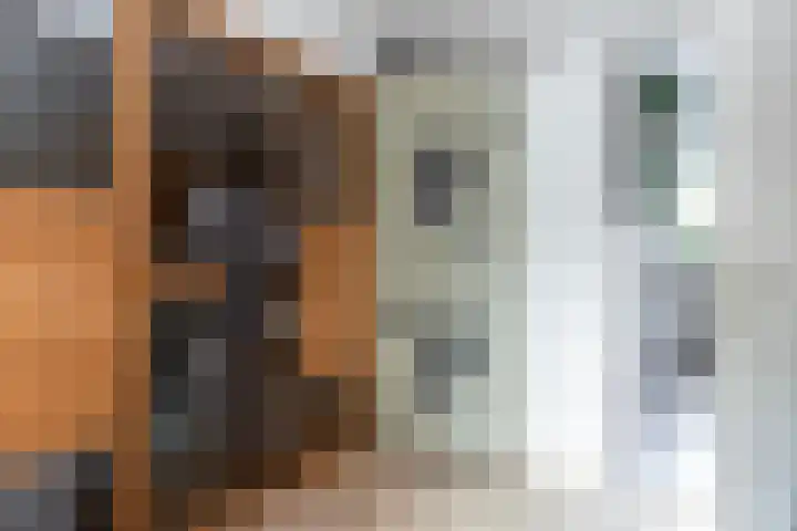 Waterlei 94 Apeldoorn thumbnail 19